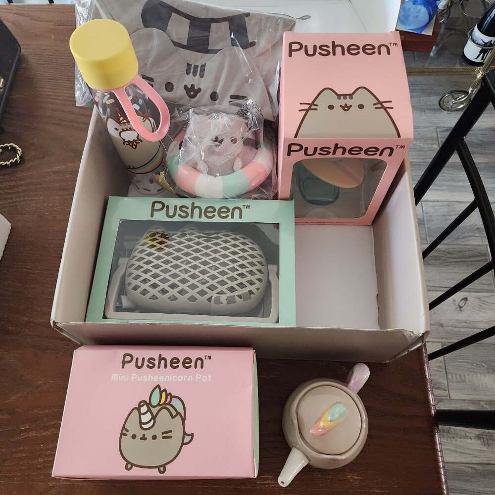 🔴SOLD🔴Pusheen Box Summer 2018 - Includes 7 out of 8 items BNWT, sealed, unopen